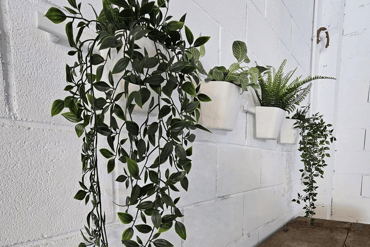 agroturismo-zumintxaz-plantas-pared-slider-sala-multifuncional